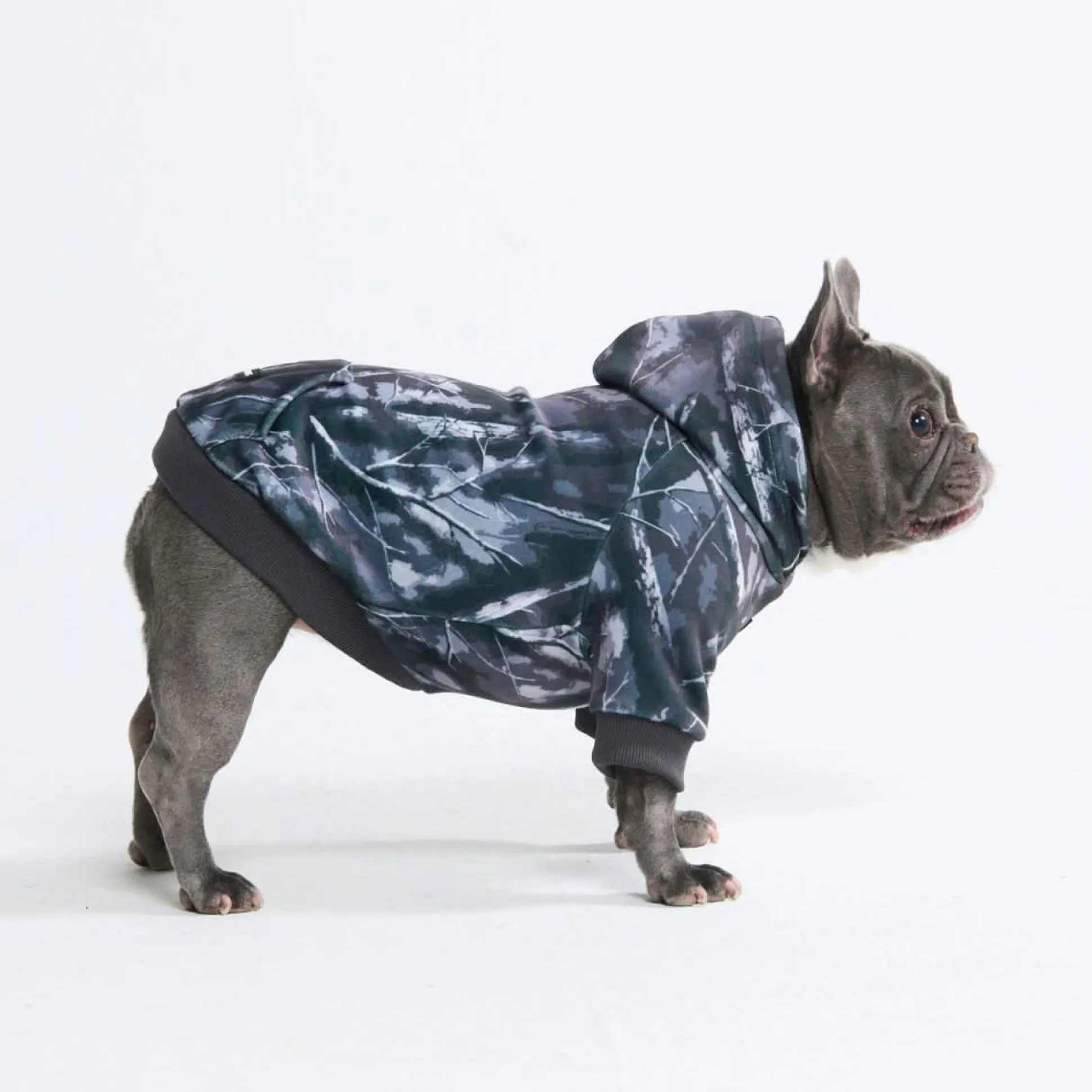 Concrete Wood Dog Hoodie - Asphalt