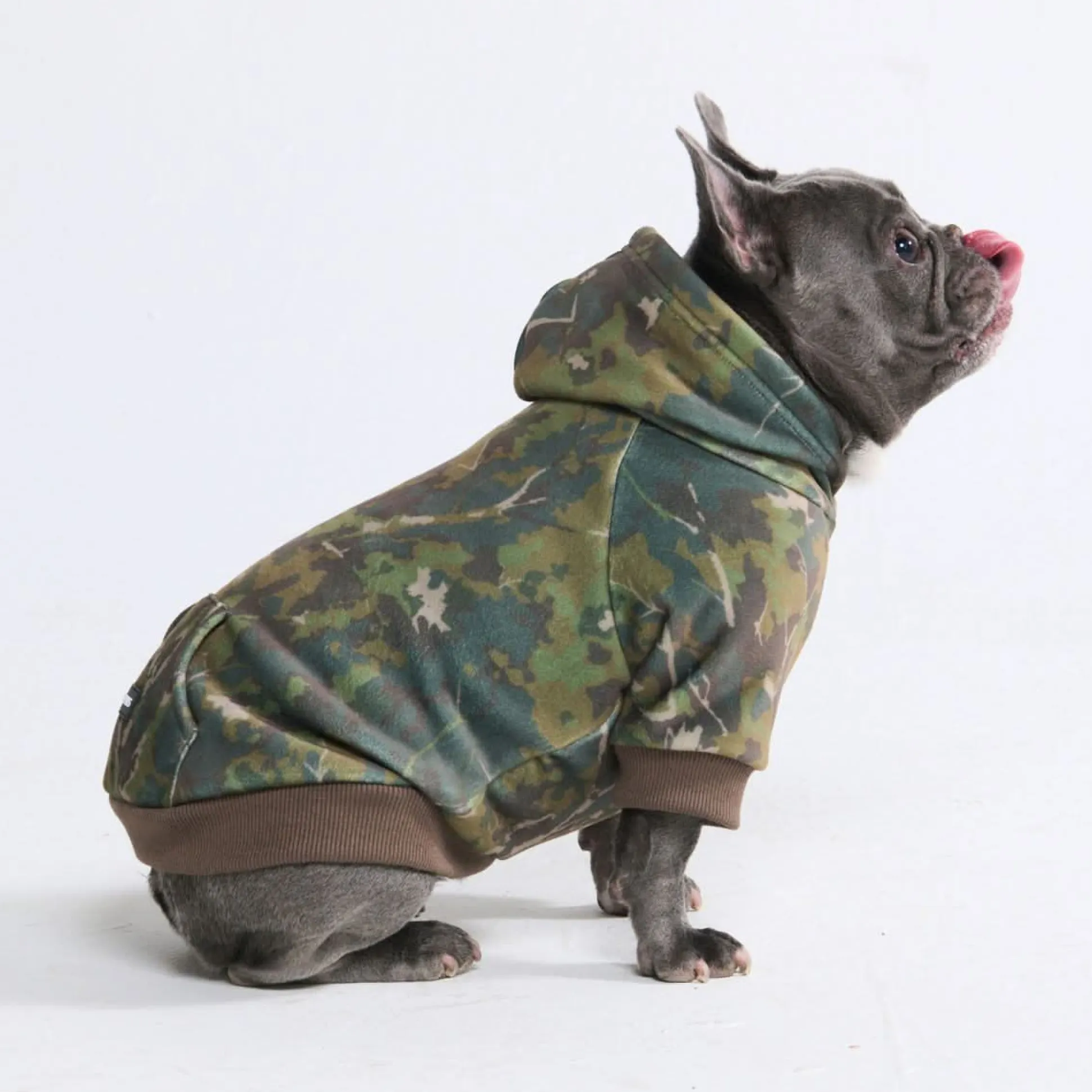 Concrete Wood Dog Hoodie - Moss
