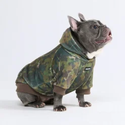 Concrete Wood Dog Hoodie - Moss