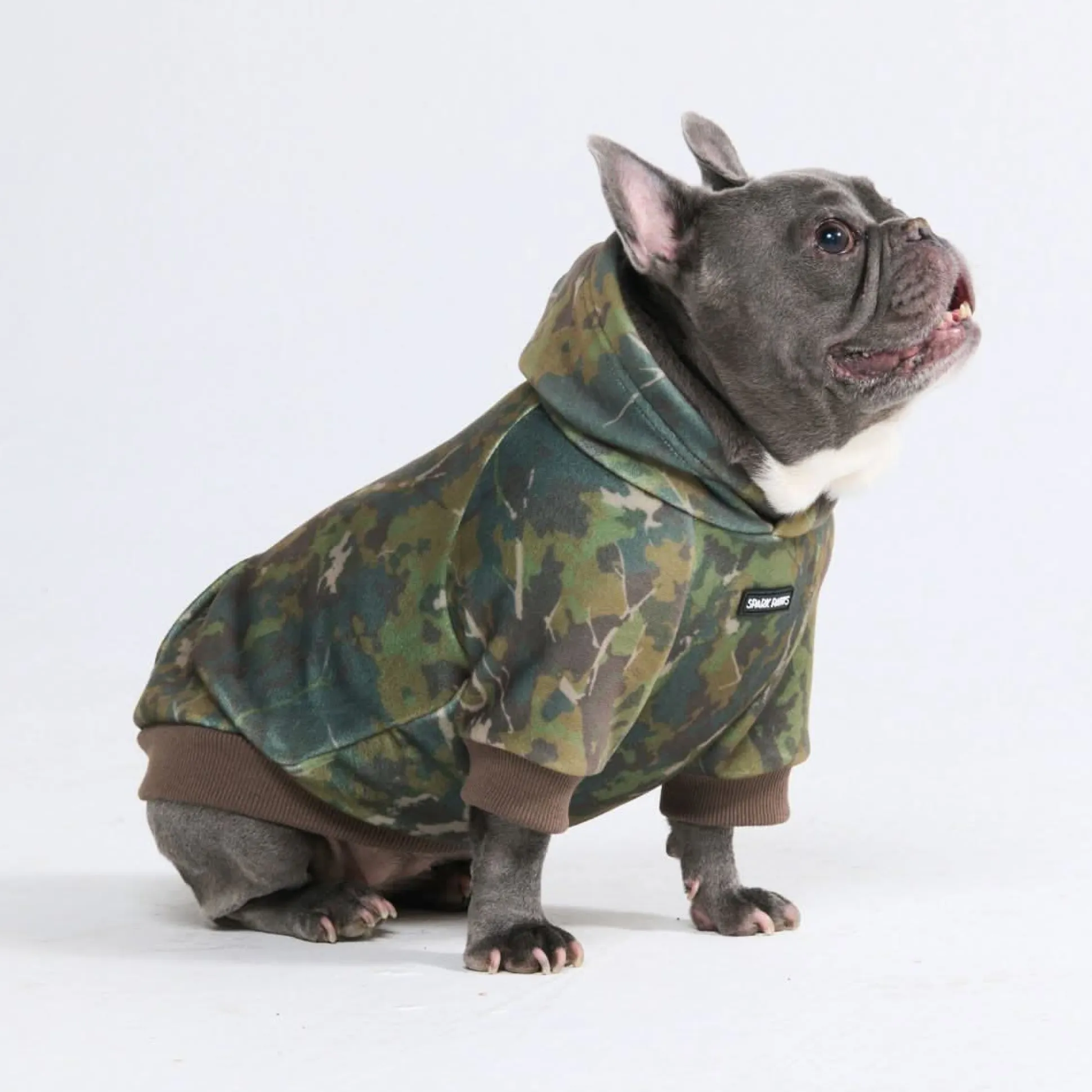 Concrete Wood Dog Hoodie - Moss