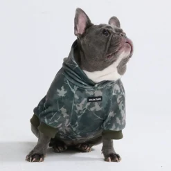 Concrete Wood Dog Hoodie - Timber