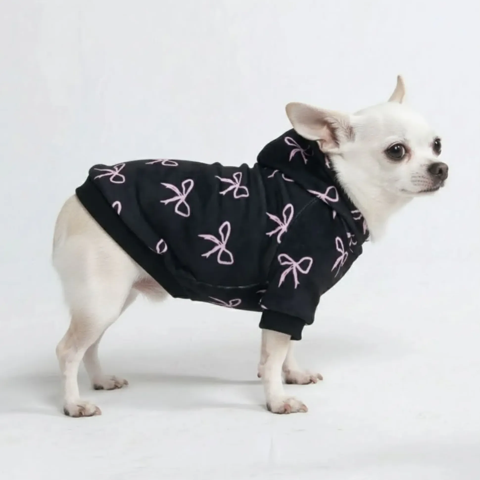Coquette Dog Hoodie