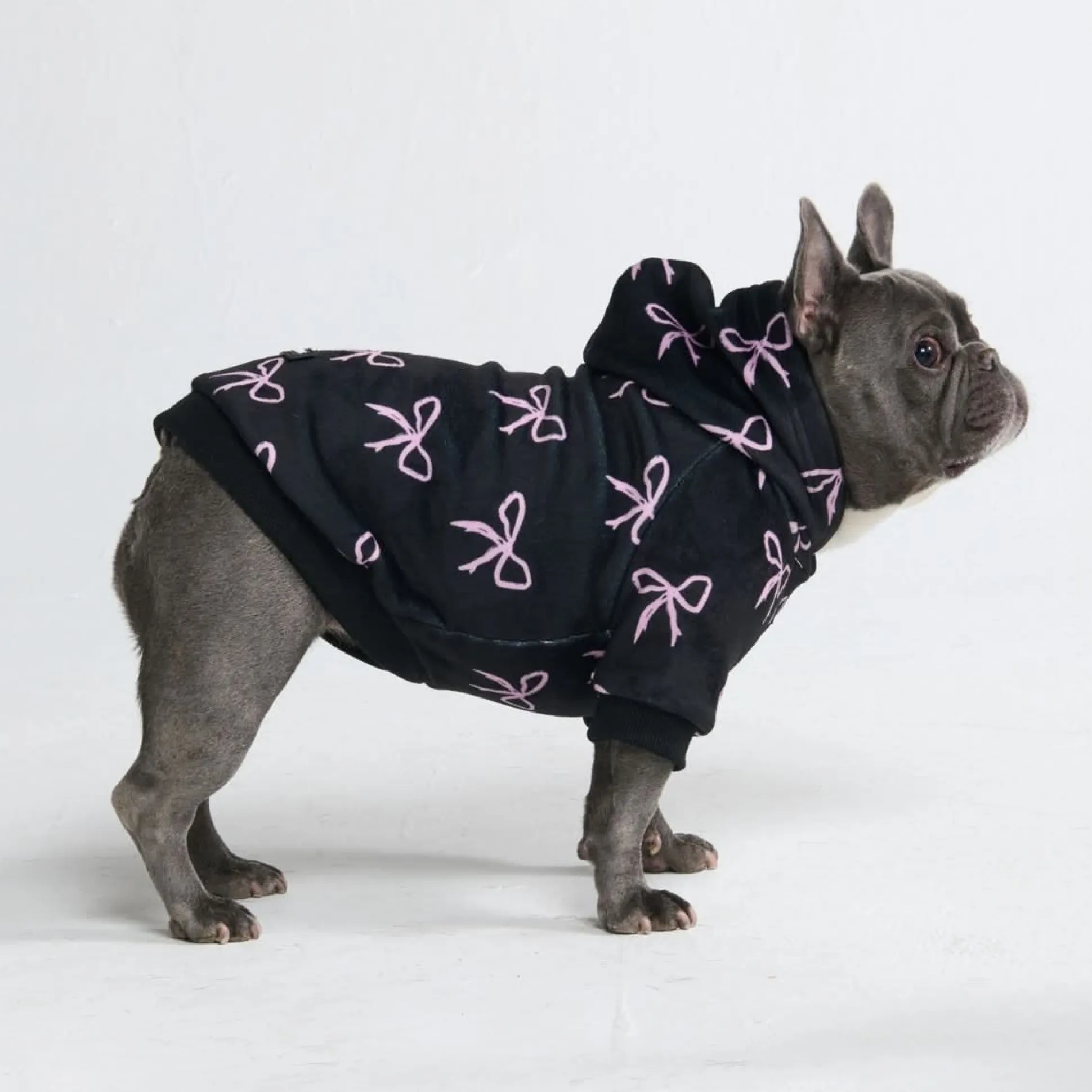 Coquette Dog Hoodie