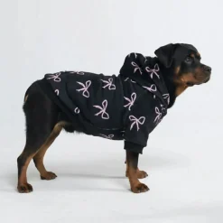 Coquette Dog Hoodie