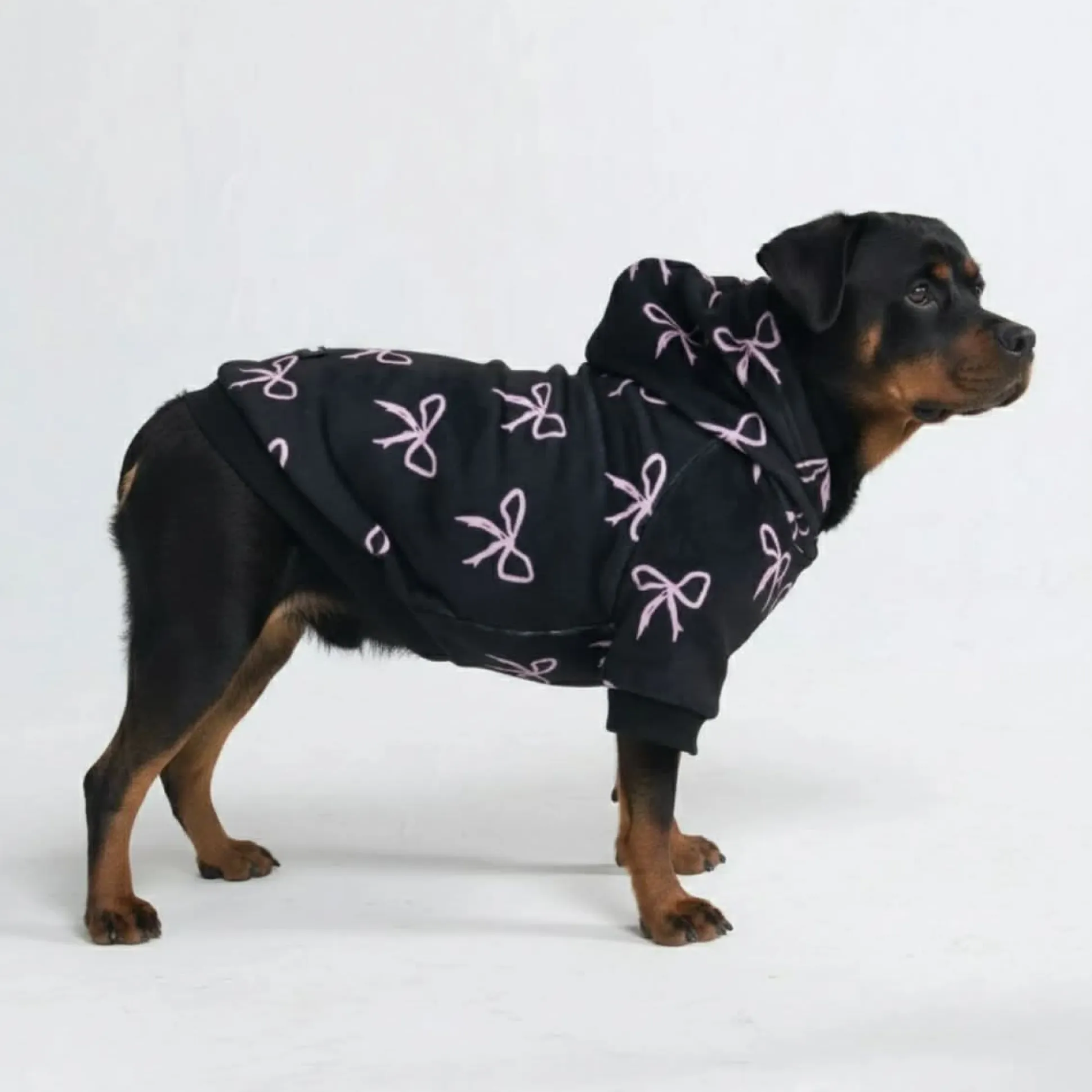 Coquette Dog Hoodie