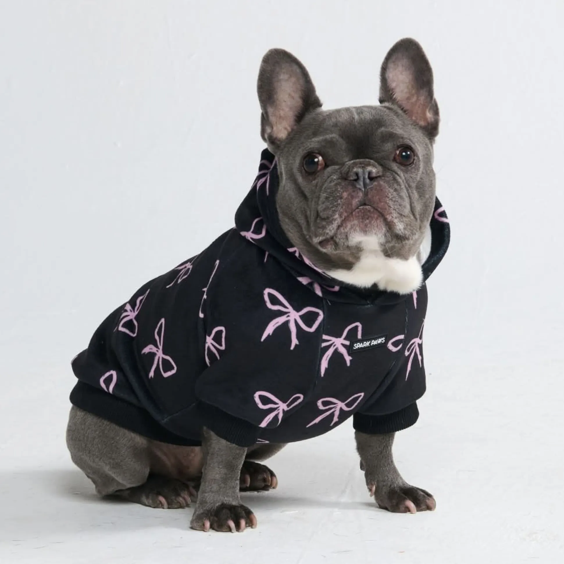 Coquette Dog Hoodie
