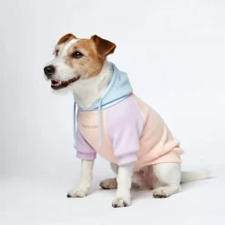 Cotton Candy Dog Hoodie