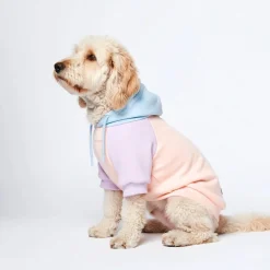 Cotton Candy Dog Hoodie