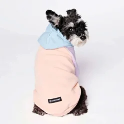Cotton Candy Dog Hoodie