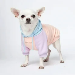 Cotton Candy Dog Hoodie
