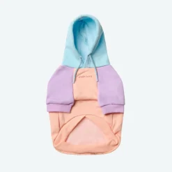Cotton Candy Dog Hoodie