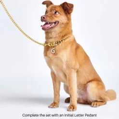 Cuban Link Chain Dog Collar - Gold