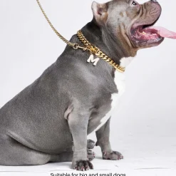 Cuban Link Chain Dog Collar - Gold