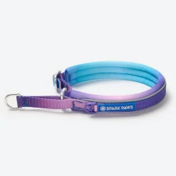 Cushioned Martingale Collar - 90s Retro