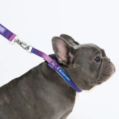 Cushioned Martingale Collar - 90s Retro