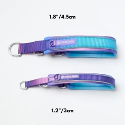 Cushioned Martingale Collar - 90s Retro