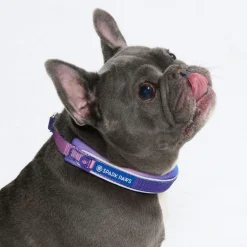 Cushioned Martingale Collar - 90s Retro