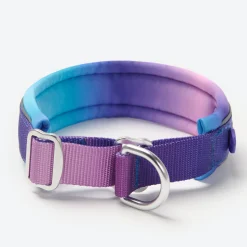 Cushioned Martingale Collar - 90s Retro