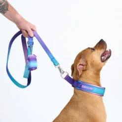 Cushioned Martingale Collar - 90s Retro