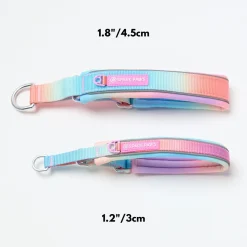 Cushioned Martingale Collar - Pastel Icing