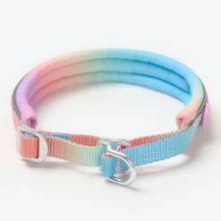 Cushioned Martingale Collar - Pastel Icing