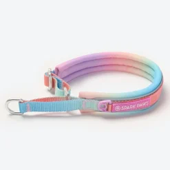 Cushioned Martingale Collar - Pastel Icing