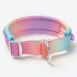 Cushioned Martingale Collar - Pastel Icing