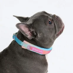 Cushioned Martingale Collar - Pastel Icing