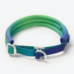 Cushioned Martingale Collar - Lime Wave