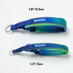 Cushioned Martingale Collar - Lime Wave