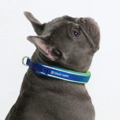 Cushioned Martingale Collar - Lime Wave