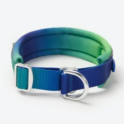 Cushioned Martingale Collar - Lime Wave