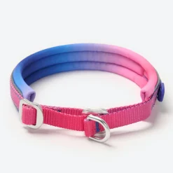 Cushioned Martingale Collar - Snow Cone