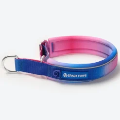 Cushioned Martingale Collar - Snow Cone