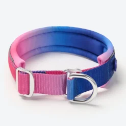 Cushioned Martingale Collar - Snow Cone