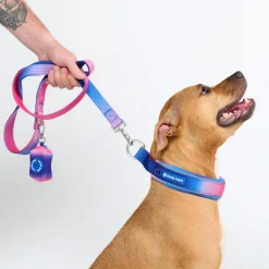 Cushioned Martingale Collar - Snow Cone