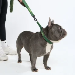 Cushioned Martingale Collar - Army Green