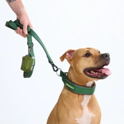 Cushioned Martingale Collar - Army Green