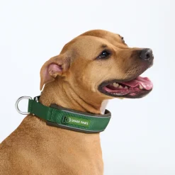 Cushioned Martingale Collar - Army Green