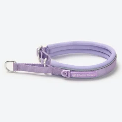 Cushioned Martingale Collar - Lilac
