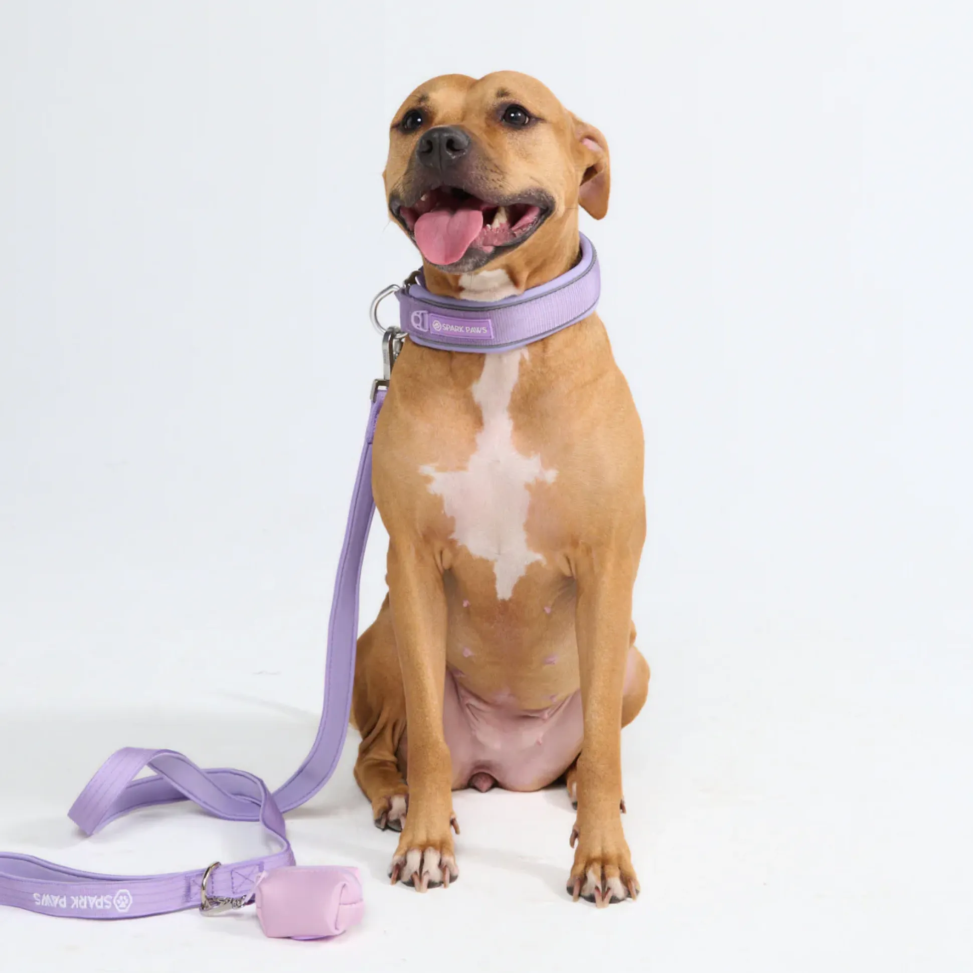 Cushioned Martingale Collar - Lilac