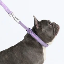 Cushioned Martingale Collar - Lilac