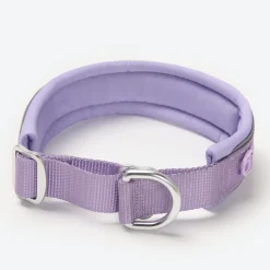 Cushioned Martingale Collar - Lilac
