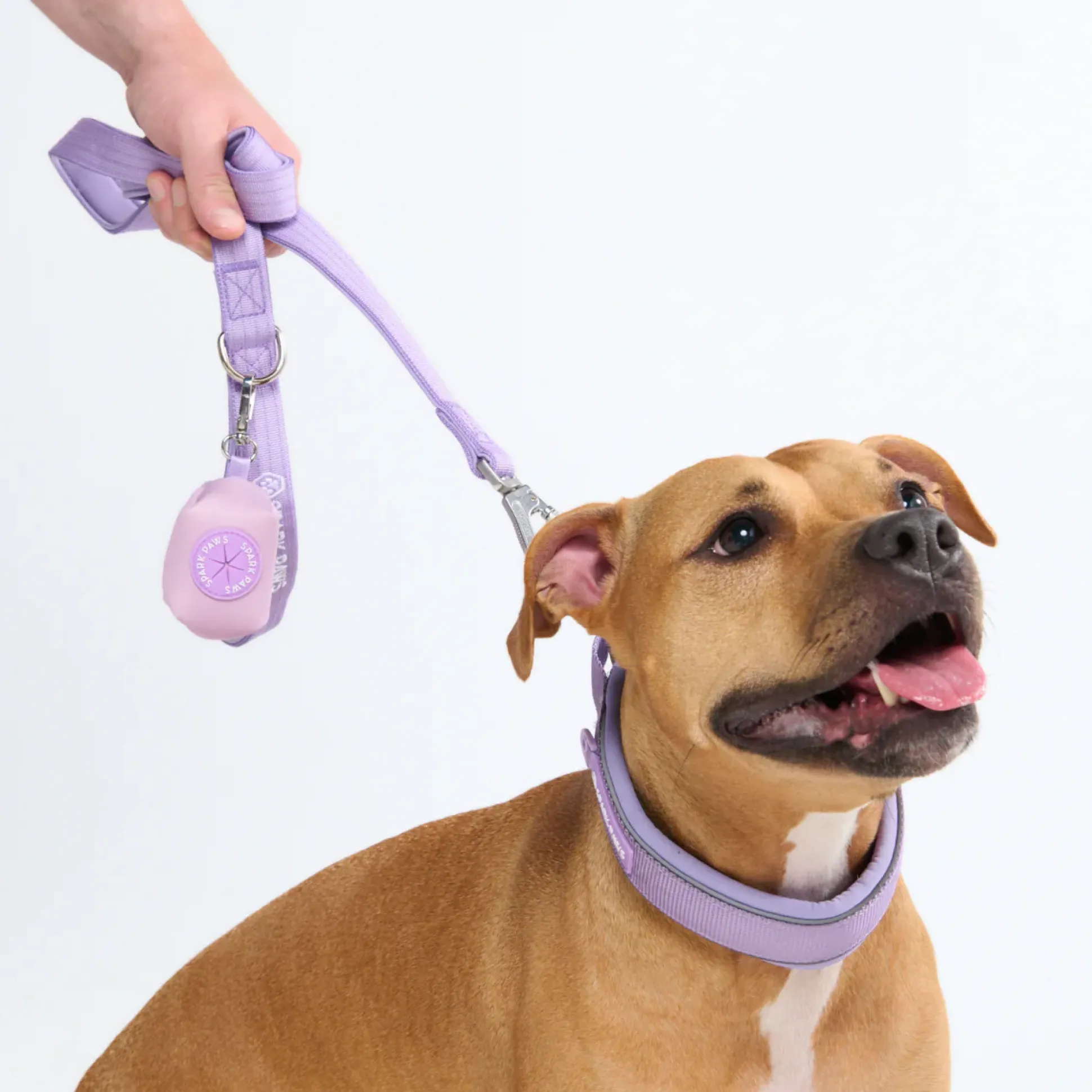 Cushioned Martingale Collar - Lilac