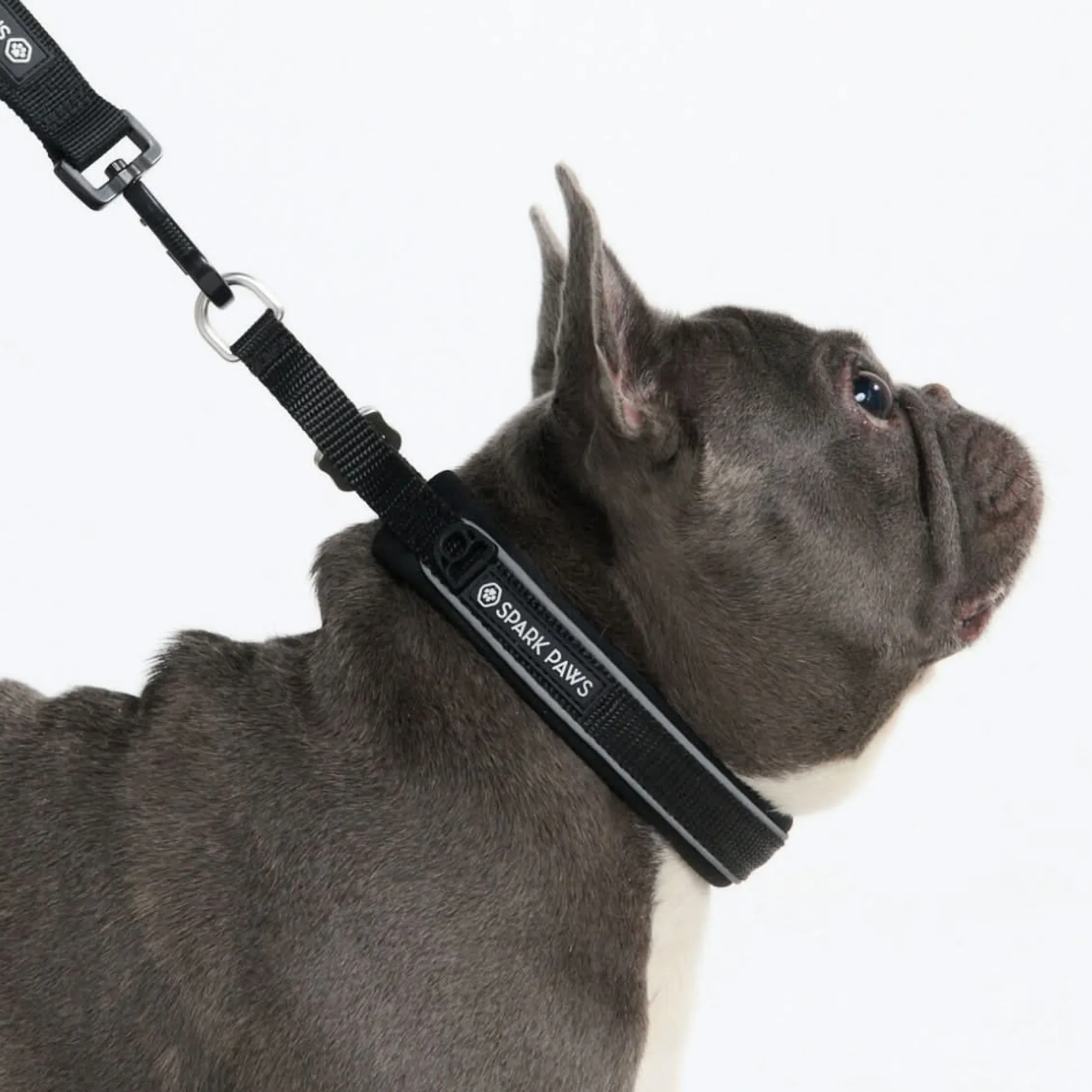 Cushioned Martingale Collar - Black