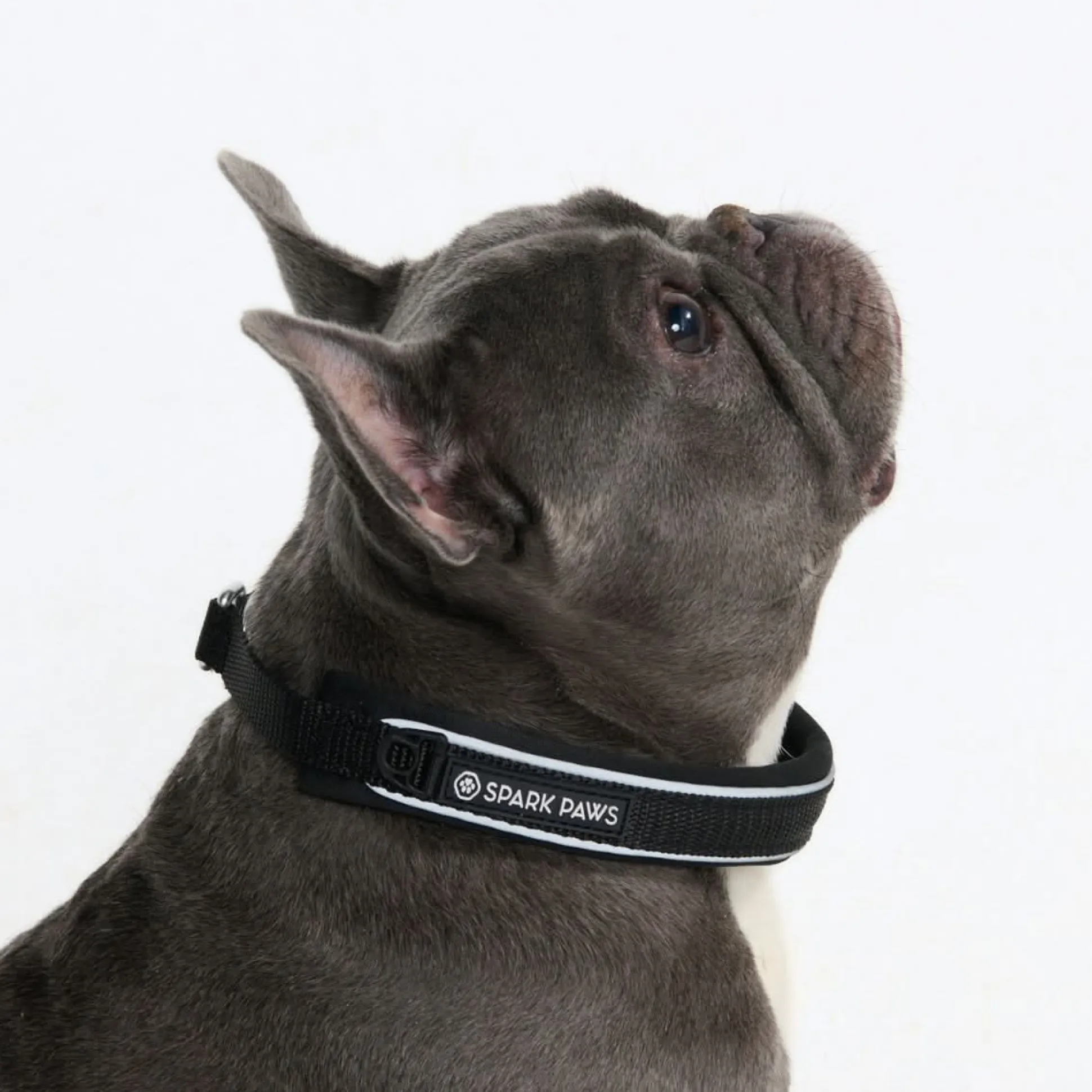 Cushioned Martingale Collar - Black