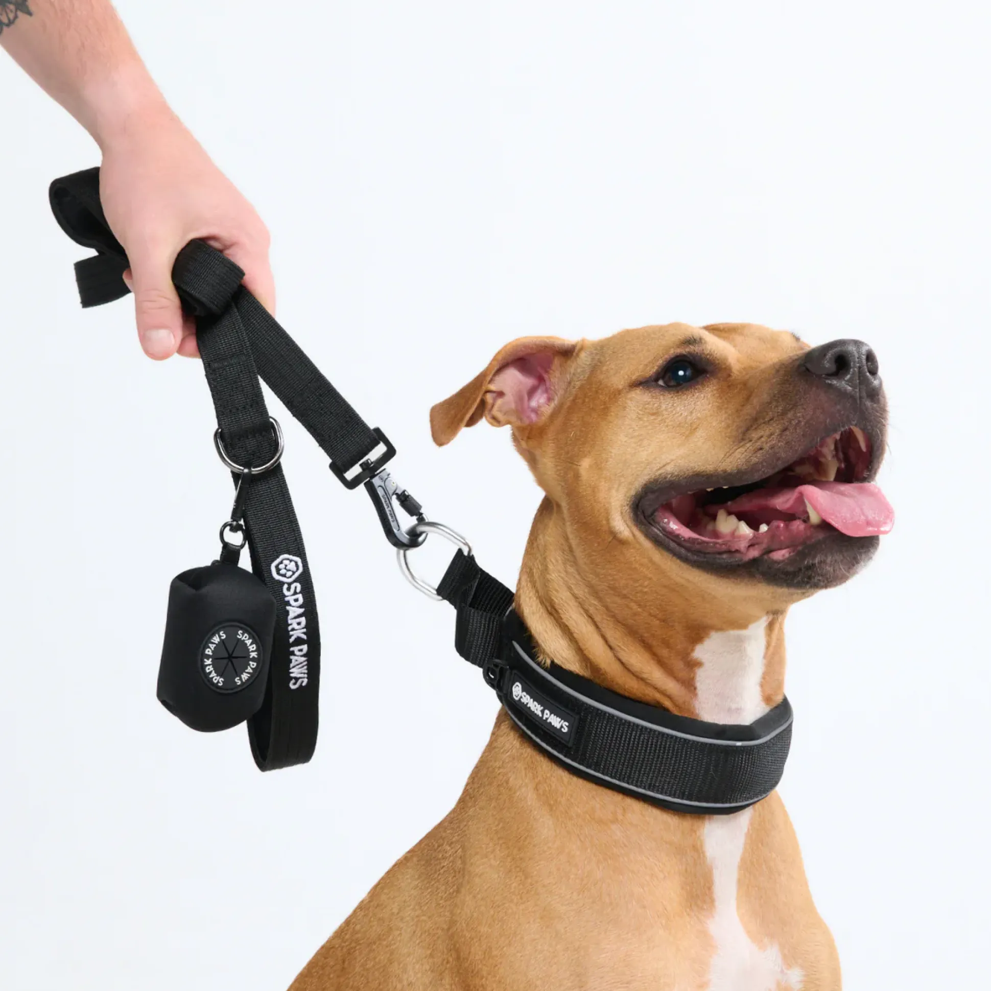 Cushioned Martingale Collar - Black