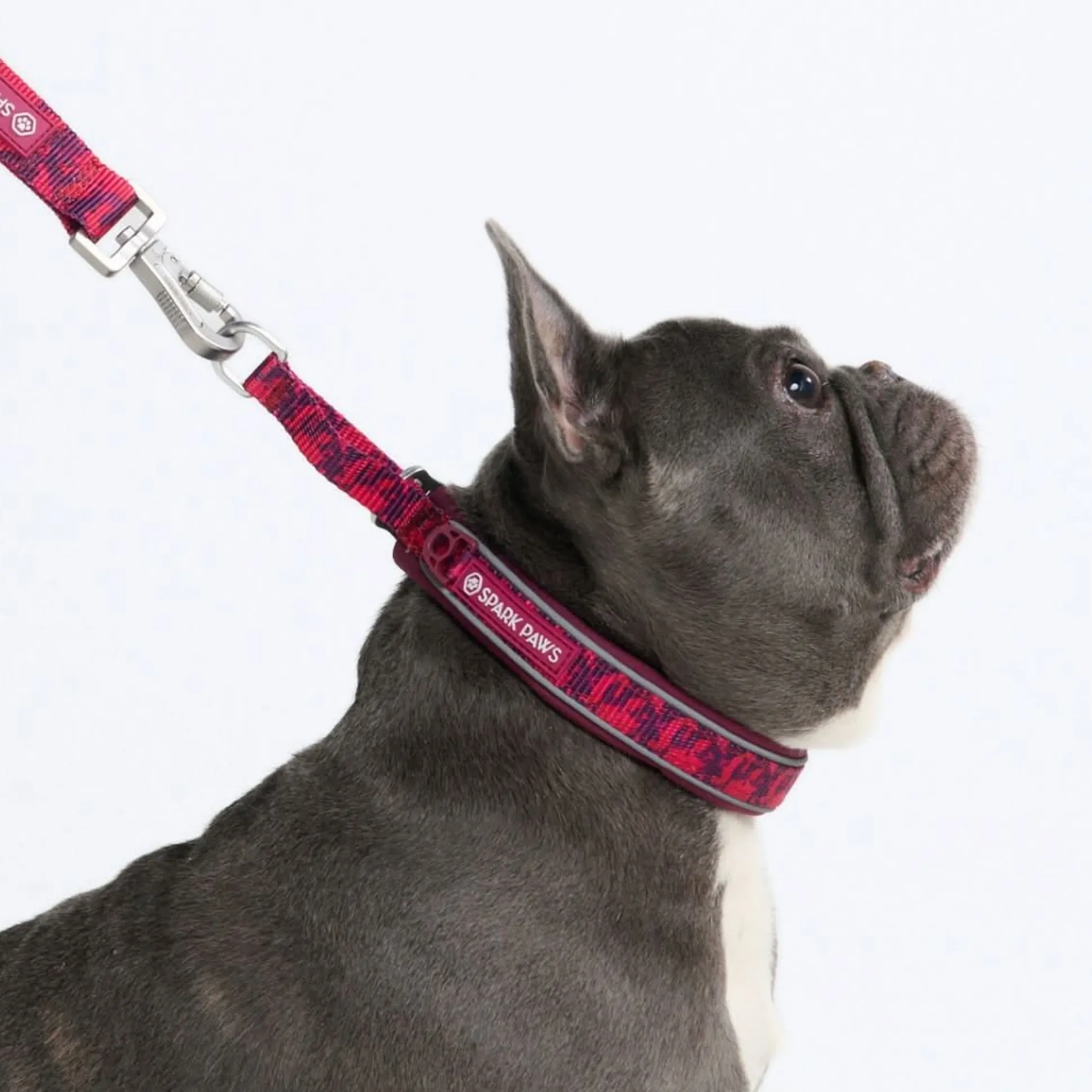 Cushioned Martingale Collar - Fuchsia Camo