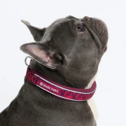 Cushioned Martingale Collar - Fuchsia Camo