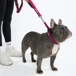 Cushioned Martingale Collar - Fuchsia Camo